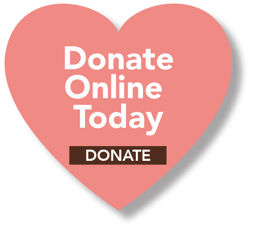 Have a Heart Donate Button 2024