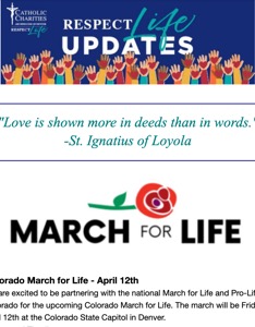 Respect Life Denver Newsletter February 2024